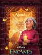 Disney Encanto Abuela Edible Cake Topper Image ABPID55511 Hot on Sale